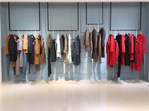 杭州華丹尼女裝 19春夏優雅休閑組合包，優質品牌折扣貨源解析