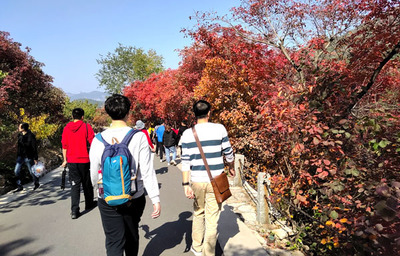 金秋時節,紅葉谷游覽必須關注的幾個點!