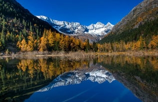 達古冰山景區(qū)深度開發(fā)洛格斯徒步游覽區(qū)