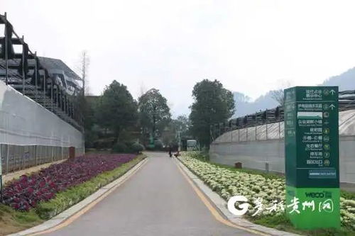 貴州多個景區(qū)陸續(xù)開園，游覽時園區(qū)管理服務與注意事項詳解