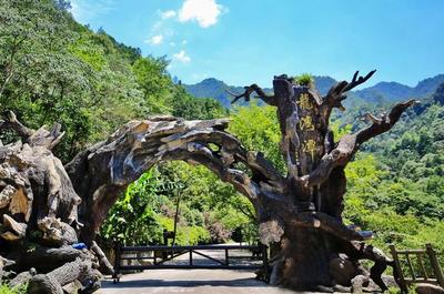 魔鬼秋千爆紅全網(wǎng) 浙旅集團深度體驗旅游產品成效凸顯，景區(qū)管理再升級