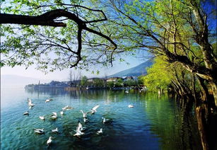 引以為鑒，刀刃向內(nèi)——邛瀘景區(qū)質(zhì)量提升會后管理優(yōu)化紀(jì)實(shí)