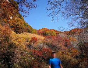 2019平山駝梁風(fēng)景區(qū)游玩全攻略 門票價(jià)格、游覽路線、地址與服務(wù)詳解